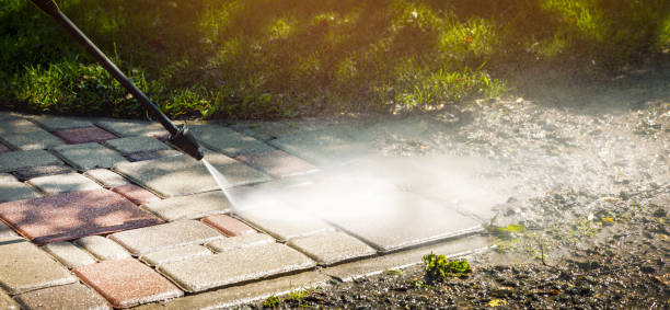 Best Animal Enclosure Cleaning  in Sandy Springs, SC